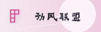 合作伙伴